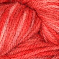 Oxford Rug Company rug punch needle Red Snapper The Oxford Company | Fine Yarn | Variegated | 5 Pack