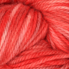 Oxford Rug Company rug punch needle Red Snapper The Oxford Company | Fine Yarn | Variegated | 5 Pack