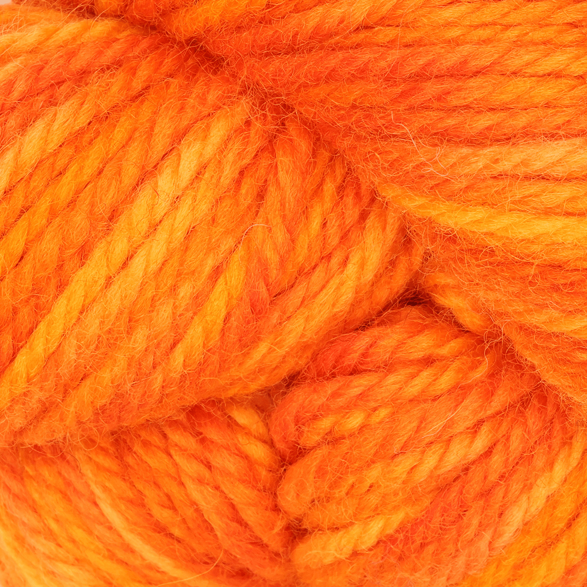 Oxford Rug Company rug punch needle Scotch Bonnet The Oxford Company | Fine Yarn | Variegated | 5 Pack