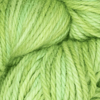 Oxford Rug Company rug punch needle Spring Buds The Oxford Company | Fine Yarn | Variegated | 5 Pack