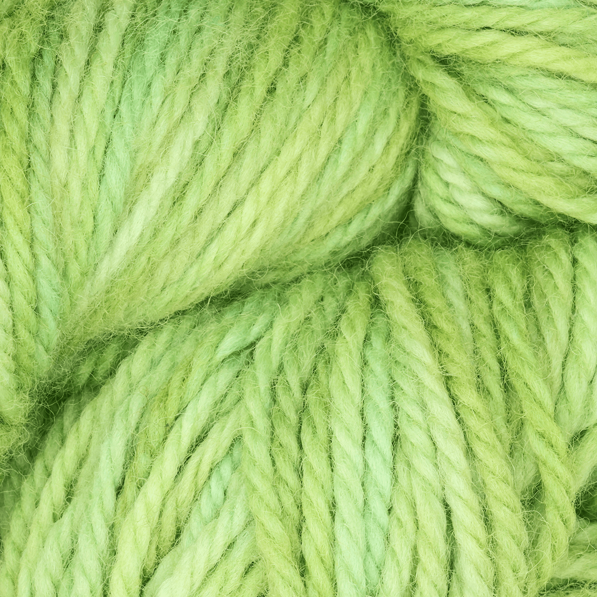 Oxford Rug Company rug punch needle Spring Buds The Oxford Company | Fine Yarn | Variegated | 5 Pack