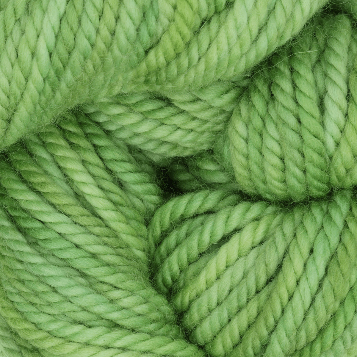Oxford Rug Company rug punch needle Spring Buds The Oxford Company | Rug Yarn | Variegated | 5 Pack