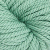 Oxford Rug Company rug punch needle Surf Green Oxford Rug Company | Rug Yarn | Solid Colours | 5 Pack