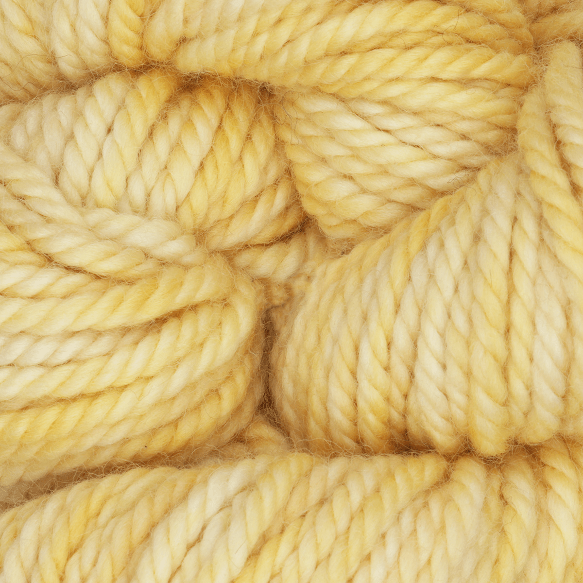 Oxford Rug Company rug punch needle Sweet Butter The Oxford Company | Rug Yarn | Variegated | 5 Pack