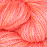 Oxford Rug Company rug punch needle Tea Party The Oxford Company | Fine Yarn | Variegated | 5 Pack