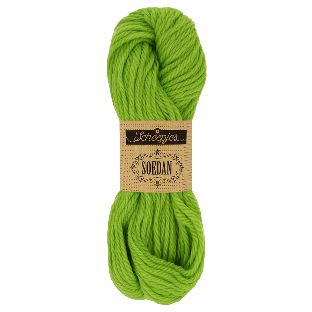 Scheepjes Yarn 1376 Scheepjes | Soedan | Chunky | 1542