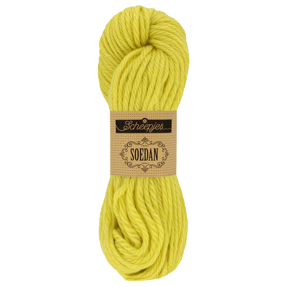Scheepjes Yarn 1384 Scheepjes | Soedan | Chunky | 1542