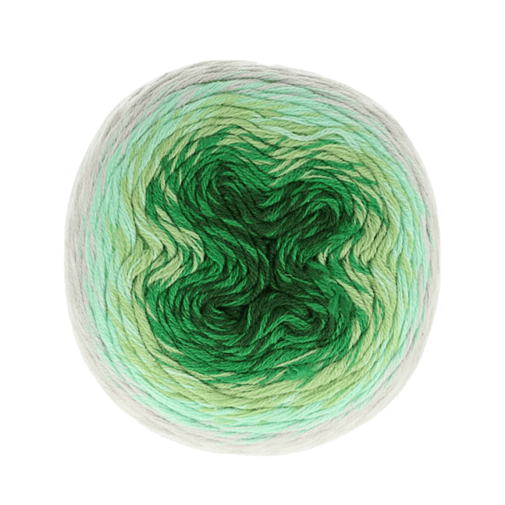 Scheepjes Yarn Fauvism Scheepjes | Whirl Fine Art | DK | 1729