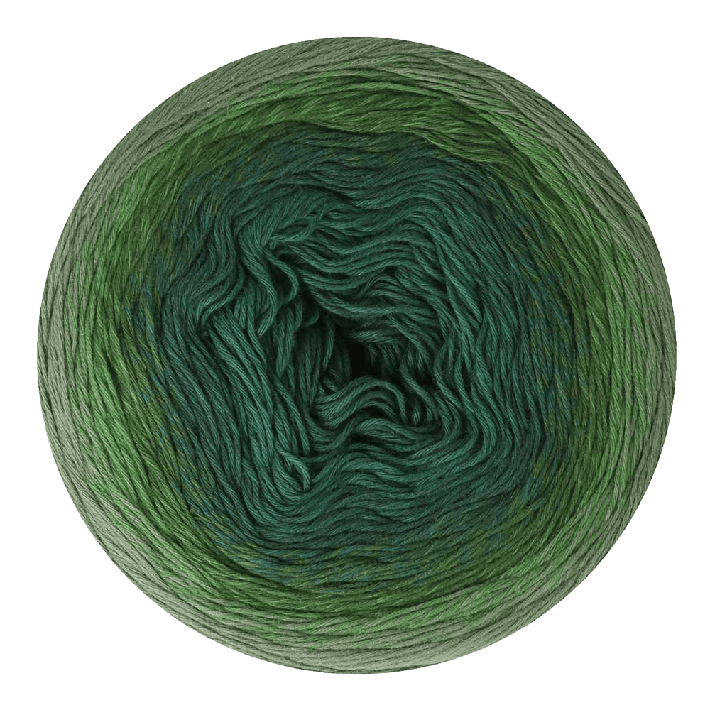 Scheepjes Yarn Fog and Foliage Scheepjes | Cotton Whirl | 4 Ply | 1700