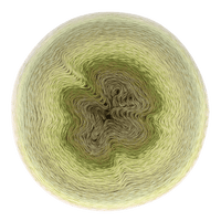 Scheepjes Yarn Moodychrome Scheepjes | Whirl Mega | 4 Ply | 1750