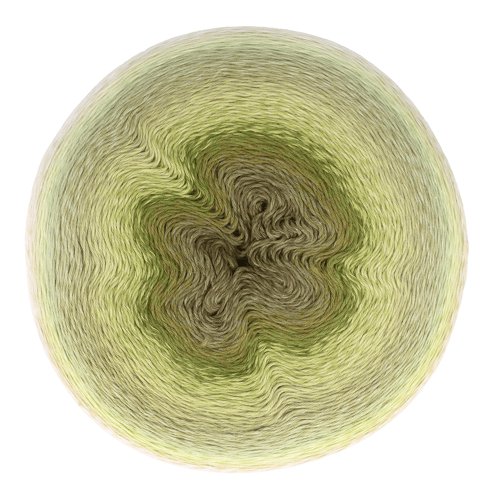 Scheepjes Yarn Moodychrome Scheepjes | Whirl Mega | 4 Ply | 1750