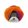 Schoppel Wolle Yarn A Bed of Fuchsia SCHOPPEL | Reggae Ombré | 690ombre