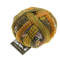 Schoppel Wolle Yarn A Day in the Garden SCHOPPEL | Edition 6 | 1516