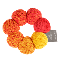 Schoppel Wolle Yarn Accelerando 2463 SCHOPPEL | Zauberperlen® | 1764