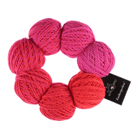 Schoppel Wolle Yarn Allegretto 2462 SCHOPPEL | Zauberperlen® | 1764