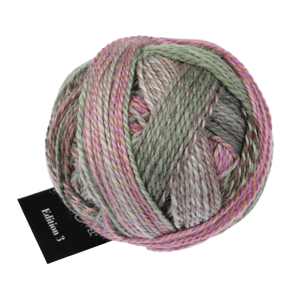 Schoppel Wolle Yarn Aurora 2629 SCHOPPEL | Edition 3 | 1523