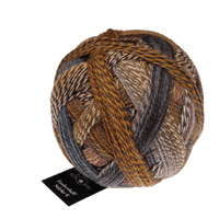 Schoppel Wolle Yarn Backlight SCHOPPEL | Sock Yarn | Zauberball® Stärke 6 | 1289