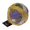 Schoppel Wolle Yarn Calidris SCHOPPEL | Zauberball® Cotton | 1576
