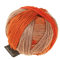 Schoppel Wolle Yarn Centerpiece SCHOPPEL | Gradient | 1395