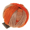 Schoppel Wolle Yarn Centerpiece SCHOPPEL | Gradient | 1395