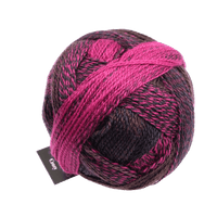 Schoppel Wolle Yarn Charisma SCHOPPEL | Sock Yarn | Zauberball® Crazy | 1153