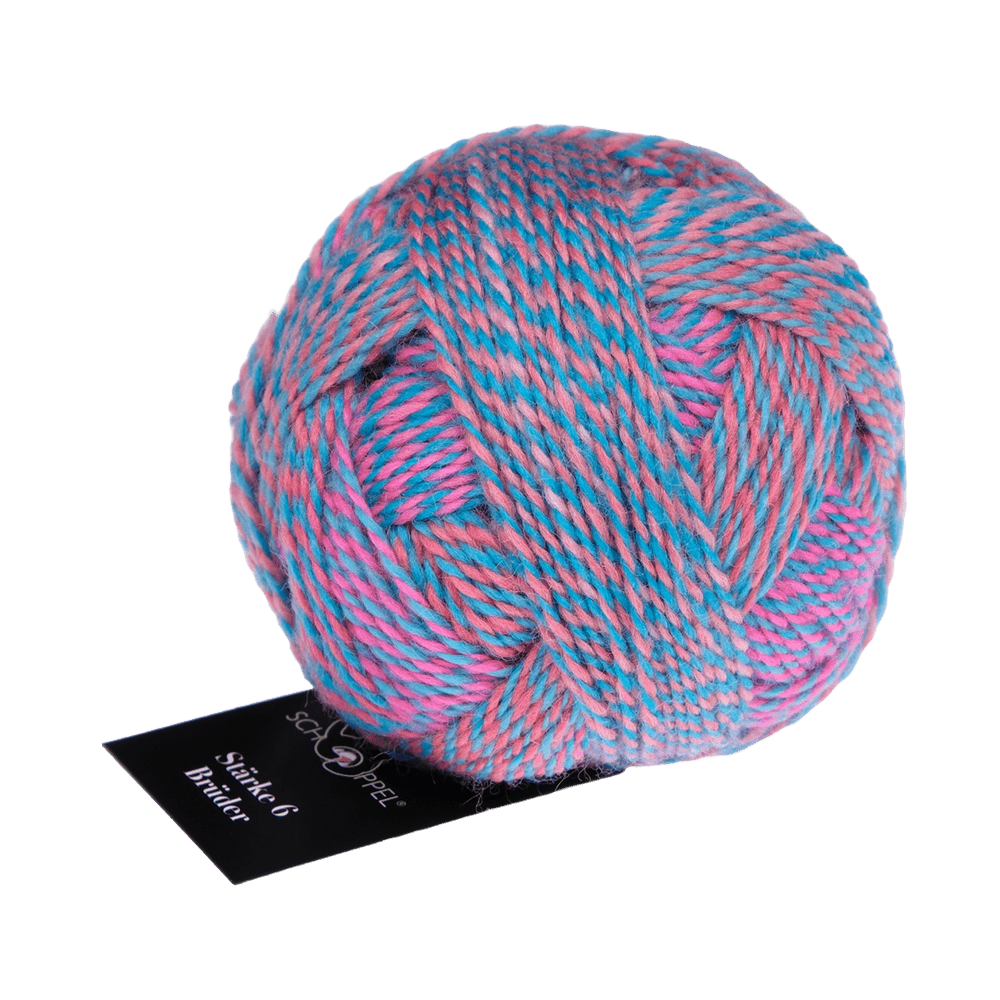 Schoppel Wolle Yarn Christian | 2709 SCHOPPEL | Sock Yarn | Stärke 6 Brüder | 2024