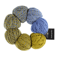 Schoppel Wolle Yarn Concitato 2458 SCHOPPEL | Zauberperlen® | 1764