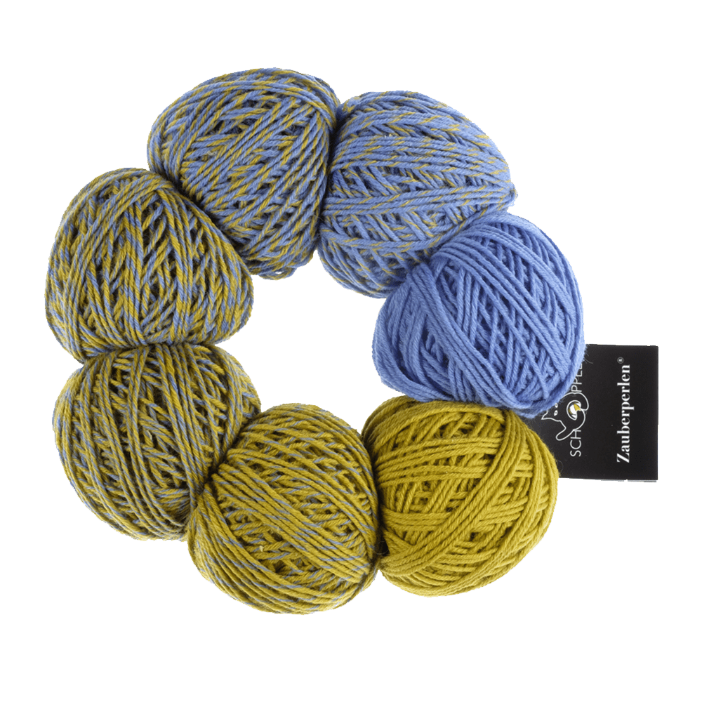 Schoppel Wolle Yarn Concitato 2458 SCHOPPEL | Zauberperlen® | 1764