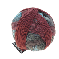 Schoppel Wolle Yarn Couch Corner SCHOPPEL | Zauberball® 100 Pro | 1391P