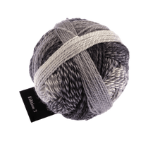 Schoppel Wolle Yarn Domino 2100 SCHOPPEL | Edition 3 | 1523