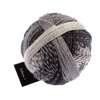 Schoppel Wolle Yarn Domino 2100 SCHOPPEL | Edition 3 | 1523