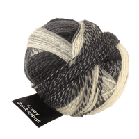 Schoppel Wolle Yarn Domino SCHOPPEL | Sock Yarn | Zauberball® Crazy | 1153