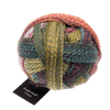 Schoppel Wolle Yarn Dragon Eye SCHOPPEL | Sock Yarn | Zauberball® Crazy | 1153