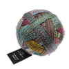 Schoppel Wolle Yarn Dragon Eye SCHOPPEL | Sock Yarn | Zauberball® Stärke 6 | 1289