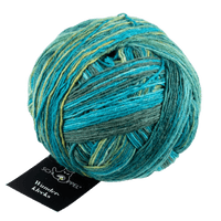 Schoppel Wolle Yarn Dyer's Stories SCHOPPEL | Sock Yarn | Wunderklecks | 1342