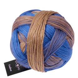 Schoppel Wolle Yarn Early Bird SCHOPPEL | Gradient | 1395