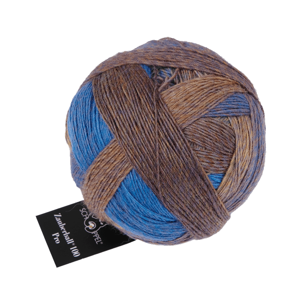 Schoppel Wolle Yarn Early Bird SCHOPPEL | Zauberball® 100 Pro | 1391P