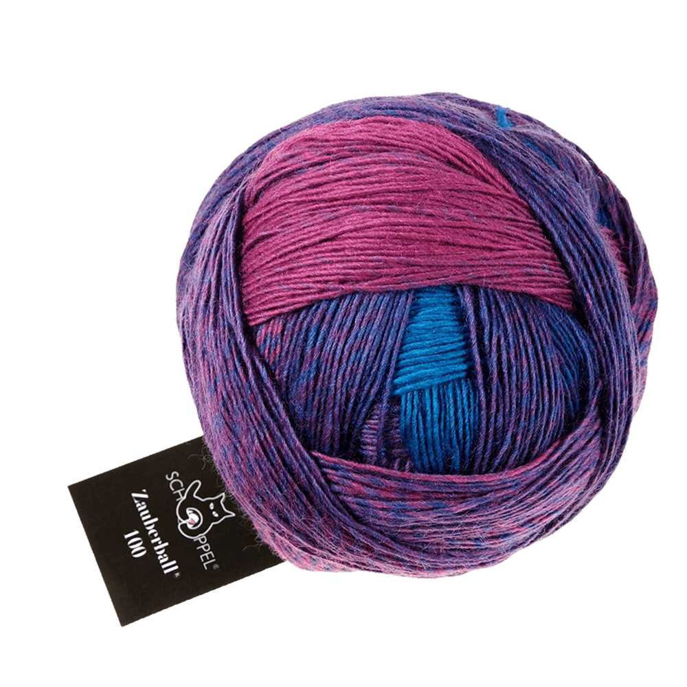 Schoppel Wolle Yarn Early Flowering SCHOPPEL | Zauberball® 100 Pro | 1391P