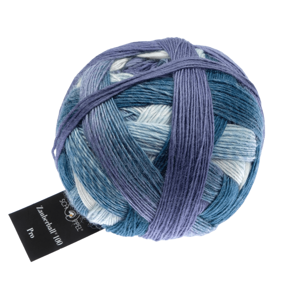 Schoppel Wolle Yarn Elephant Rally SCHOPPEL | Zauberball® 100 Pro | 1391P