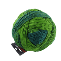 Schoppel Wolle Yarn Evergreen SCHOPPEL | Zauberball® 100 Pro | 1391P