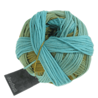 Schoppel Wolle Yarn Fiddlesticks SCHOPPEL | Gradient | 1395