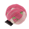 Schoppel Wolle Yarn Floral Language SCHOPPEL | Sock Yarn | Zauberball® | 1155