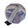 Schoppel Wolle Yarn Foehn Weather SCHOPPEL | Sock Yarn | Zauberball® Stärke 6 | 1289