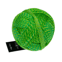Schoppel Wolle Yarn Frank Walter | 2707 SCHOPPEL | Sock Yarn | Crazy Boys | 2025