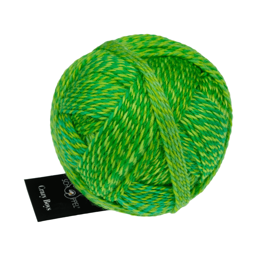 Schoppel Wolle Yarn Frank Walter | 2707 SCHOPPEL | Sock Yarn | Crazy Boys | 2025