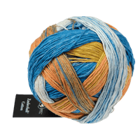 Schoppel Wolle Yarn Frühaufsteher SCHOPPEL | Zauberball® Cotton | 1576