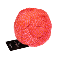 Schoppel Wolle Yarn Gerhard | 2705 SCHOPPEL | Sock Yarn | Crazy Boys | 2025