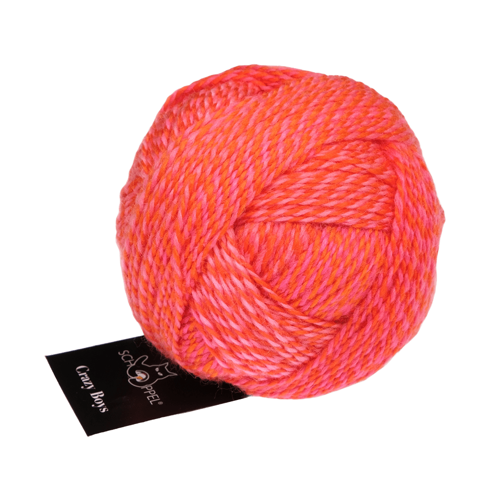 Schoppel Wolle Yarn Gerhard | 2705 SCHOPPEL | Sock Yarn | Crazy Boys | 2025