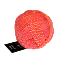 Schoppel Wolle Yarn Gerhard | 2705 SCHOPPEL | Sock Yarn | Stärke 6 Brüder | 2024