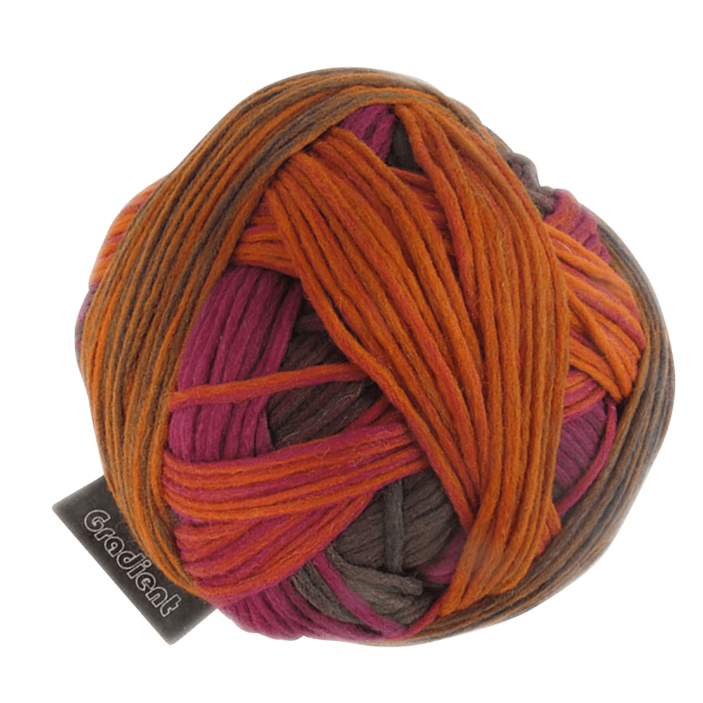 Schoppel Wolle Yarn Gosh! SCHOPPEL | Gradient | 1395